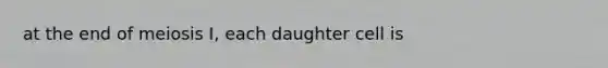 at the end of meiosis I, each daughter cell is