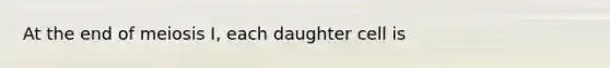 At the end of meiosis I, each daughter cell is