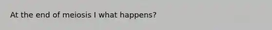 At the end of meiosis I what happens?