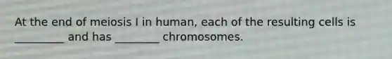 At the end of meiosis I in human, each of the resulting cells is _________ and has ________ chromosomes.