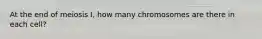 At the end of meiosis I, how many chromosomes are there in each cell?