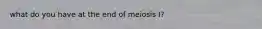 what do you have at the end of meiosis I?