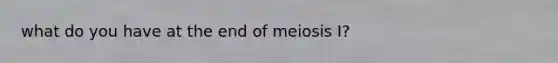 what do you have at the end of meiosis I?