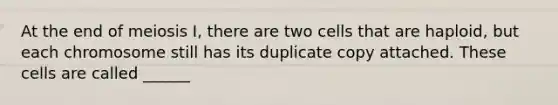 At the end of meiosis I, there are two cells that are haploid, but each chromosome still has its duplicate copy attached. These cells are called ______