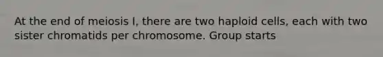 At the end of meiosis I, there are two haploid cells, each with two sister chromatids per chromosome. Group starts