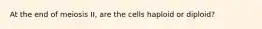 At the end of meiosis II, are the cells haploid or diploid?