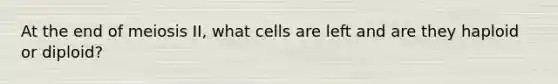 At the end of meiosis II, what cells are left and are they haploid or diploid?