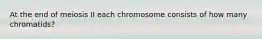 At the end of meiosis II each chromosome consists of how many chromatids?