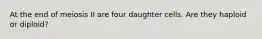 At the end of meiosis II are four daughter cells. Are they haploid or diploid?