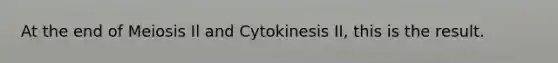 At the end of Meiosis Il and Cytokinesis II, this is the result.