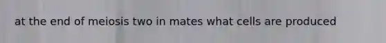 at the end of meiosis two in mates what cells are produced