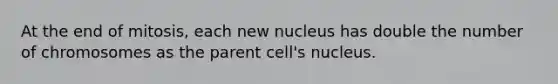 At the end of mitosis, each new nucleus has double the number of chromosomes as the parent cell's nucleus.