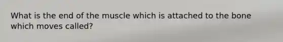 What is the end of the muscle which is attached to the bone which moves called?