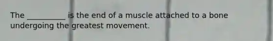 The __________ is the end of a muscle attached to a bone undergoing the greatest movement.