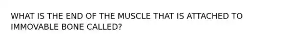 WHAT IS THE END OF THE MUSCLE THAT IS ATTACHED TO IMMOVABLE BONE CALLED?