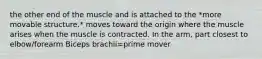 the other end of the muscle and is attached to the *more movable structure.* moves toward the origin where the muscle arises when the muscle is contracted. In the arm, part closest to elbow/forearm Biceps brachii=prime mover
