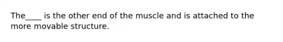 The____ is the other end of the muscle and is attached to the more movable structure.