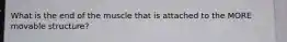 What is the end of the muscle that is attached to the MORE movable structure?