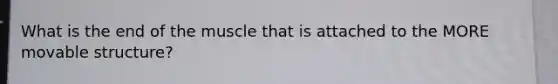 What is the end of the muscle that is attached to the MORE movable structure?