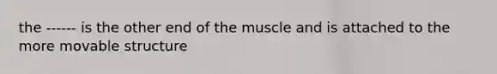 the ------ is the other end of the muscle and is attached to the more movable structure