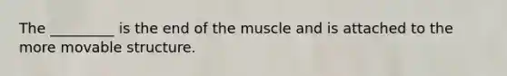 The _________ is the end of the muscle and is attached to the more movable structure.