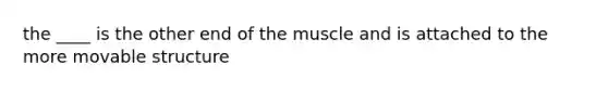 the ____ is the other end of the muscle and is attached to the more movable structure