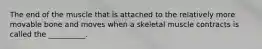 The end of the muscle that is attached to the relatively more movable bone and moves when a skeletal muscle contracts is called the __________.