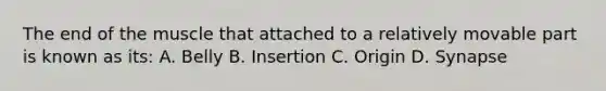 The end of the muscle that attached to a relatively movable part is known as its: A. Belly B. Insertion C. Origin D. Synapse