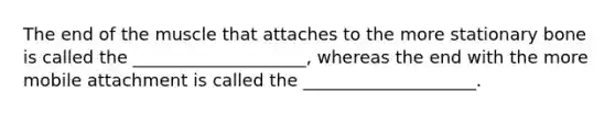 The end of the muscle that attaches to the more stationary bone is called the ____________________, whereas the end with the more mobile attachment is called the ____________________.