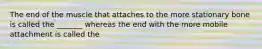 The end of the muscle that attaches to the more stationary bone is called the _______ whereas the end with the more mobile attachment is called the