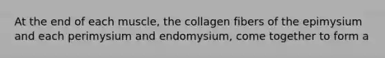 At the end of each muscle, the collagen fibers of the epimysium and each perimysium and endomysium, come together to form a