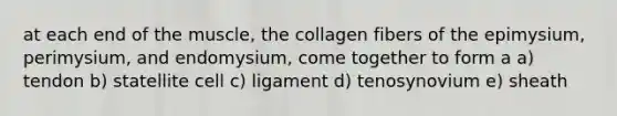 at each end of the muscle, the collagen fibers of the epimysium, perimysium, and endomysium, come together to form a a) tendon b) statellite cell c) ligament d) tenosynovium e) sheath