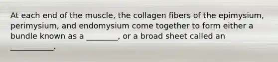 At each end of the muscle, the collagen fibers of the epimysium, perimysium, and endomysium come together to form either a bundle known as a ________, or a broad sheet called an ___________.