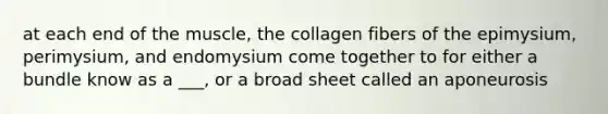 at each end of the muscle, the collagen fibers of the epimysium, perimysium, and endomysium come together to for either a bundle know as a ___, or a broad sheet called an aponeurosis