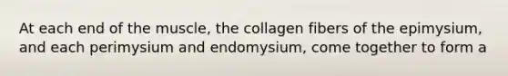 At each end of the muscle, the collagen fibers of the epimysium, and each perimysium and endomysium, come together to form a