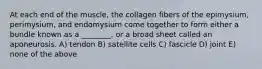 At each end of the muscle, the collagen fibers of the epimysium, perimysium, and endomysium come together to form either a bundle known as a ________, or a broad sheet called an aponeurosis. A) tendon B) satellite cells C) fascicle D) joint E) none of the above