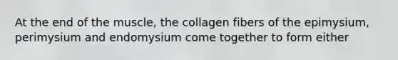 At the end of the muscle, the collagen fibers of the epimysium, perimysium and endomysium come together to form either