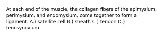 At each end of the muscle, the collagen fibers of the epimysium, perimysium, and endomysium, come together to form a ligament. A.) satellite cell B.) sheath C.) tendon D.) tenosynovium