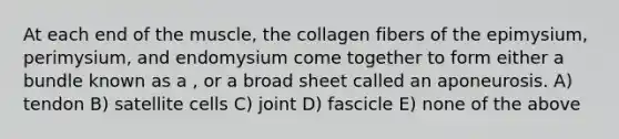 At each end of the muscle, the collagen fibers of the epimysium, perimysium, and endomysium come together to form either a bundle known as a , or a broad sheet called an aponeurosis. A) tendon B) satellite cells C) joint D) fascicle E) none of the above