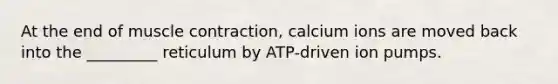 At the end of muscle contraction, calcium ions are moved back into the _________ reticulum by ATP-driven ion pumps.