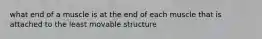 what end of a muscle is at the end of each muscle that is attached to the least movable structure