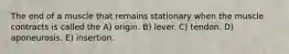 The end of a muscle that remains stationary when the muscle contracts is called the A) origin. B) lever. C) tendon. D) aponeurosis. E) insertion.
