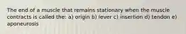 The end of a muscle that remains stationary when the muscle contracts is called the: a) origin b) lever c) insertion d) tendon e) aponeurosis