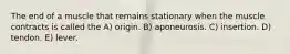 The end of a muscle that remains stationary when the muscle contracts is called the A) origin. B) aponeurosis. C) insertion. D) tendon. E) lever.