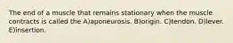 The end of a muscle that remains stationary when the muscle contracts is called the A)aponeurosis. B)origin. C)tendon. D)lever. E)insertion.