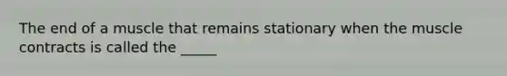 The end of a muscle that remains stationary when the muscle contracts is called the _____