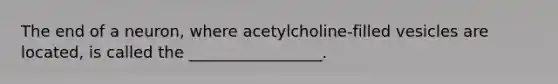 The end of a neuron, where acetylcholine-filled vesicles are located, is called the _________________.