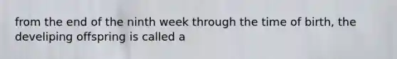 from the end of the ninth week through the time of birth, the develiping offspring is called a