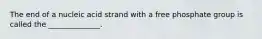 The end of a nucleic acid strand with a free phosphate group is called the ______________.