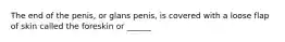 The end of the penis, or glans penis, is covered with a loose flap of skin called the foreskin or ______